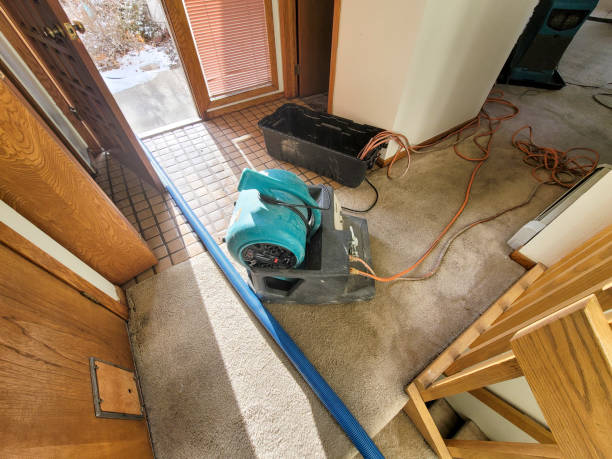 Best Fire Damage Restoration  in Summerde, AL