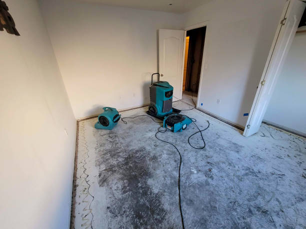 Best Mold removal after water damage  in Summerde, AL