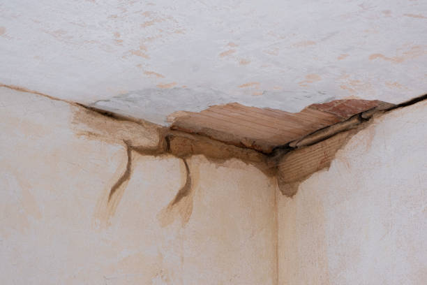 Best Ceiling water damage repair  in Summerde, AL